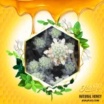 عسل مریم نخودی/ عسل کلپوره - تصویر 2
