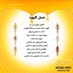 عسل مریم نخودی/ عسل کلپوره - تصویر 5